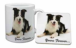 Border Collie Dog 