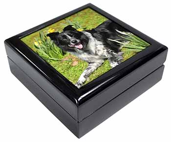 Border Collie Dog Keepsake/Jewellery Box