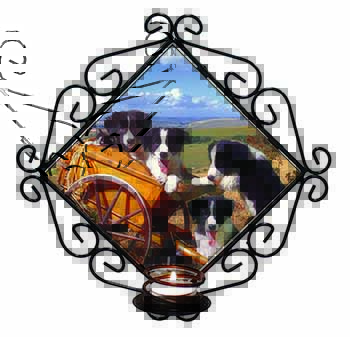 Border Collie in Wheelbarrow Wrought Iron Wall Art Candle Holder