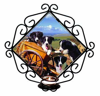 Border Collie in Wheelbarrow Wrought Iron Wall Art Candle Holder