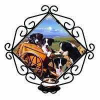 Border Collie in Wheelbarrow Wrought Iron Wall Art Candle Holder