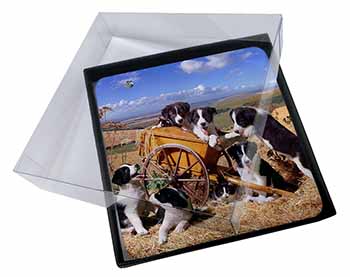 4x Border Collie in Wheelbarrow Picture Table Coasters Set in Gift Box