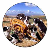 Border Collie in Wheelbarrow Fridge Magnet Printed Full Colour