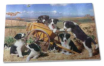 Large Glass Cutting Chopping Board Border Collie in Wheelbarrow