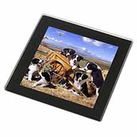 Border Collie in Wheelbarrow Black Rim High Quality Glass Coaster