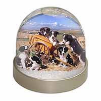 Border Collie in Wheelbarrow Snow Globe Photo Waterball