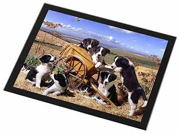 Border Collie in Wheelbarrow Black Rim High Quality Glass Placemat