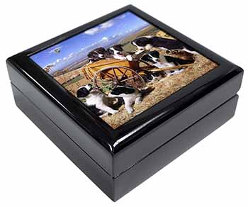 Border Collie in Wheelbarrow Keepsake/Jewellery Box