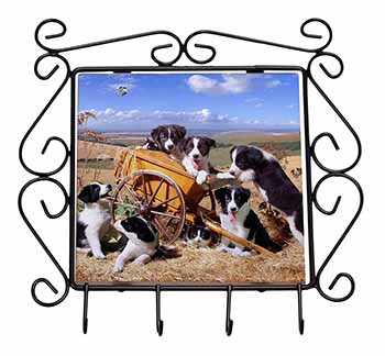 Border Collie in Wheelbarrow Wrought Iron Key Holder Hooks