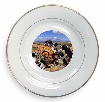 Border Collie in Wheelbarrow Gold Rim Plate Printed Full Colour in Gift Box