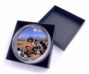 Border Collie in Wheelbarrow Glass Paperweight in Gift Box