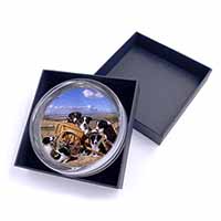 Border Collie in Wheelbarrow Glass Paperweight in Gift Box