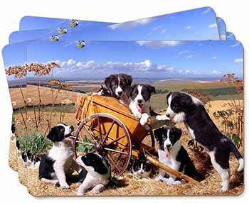 Border Collie in Wheelbarrow Picture Placemats in Gift Box