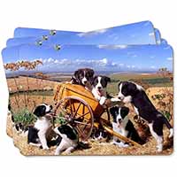 Border Collie in Wheelbarrow Picture Placemats in Gift Box