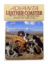 Border Collie in Wheelbarrow Single Leather Photo Coaster