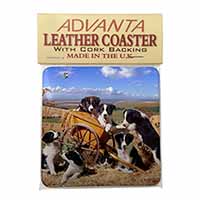 Border Collie in Wheelbarrow Single Leather Photo Coaster