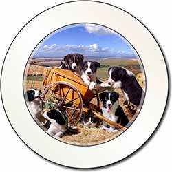 Border Collie in Wheelbarrow Car or Van Permit Holder/Tax Disc Holder