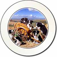 Border Collie in Wheelbarrow Car or Van Permit Holder/Tax Disc Holder