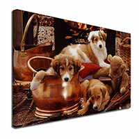 Border Collie Canvas X-Large 30"x20" Wall Art Print