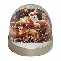 Border Collie Snow Globe Photo Waterball