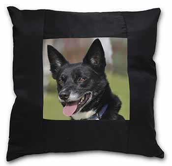 Border Collie Dog Black Satin Feel Scatter Cushion