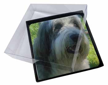 4x Bearded Collie Dog Picture Table Coasters Set in Gift Box