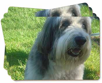 Bearded Collie Dog Picture Placemats in Gift Box