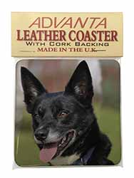 Border Collie Dog Single Leather Photo Coaster