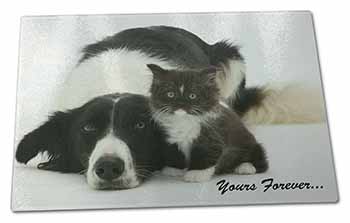 Large Glass Cutting Chopping Board Border Collie and Kitten 