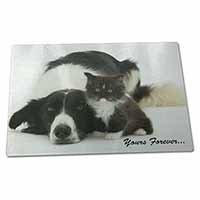 Large Glass Cutting Chopping Board Border Collie and Kitten 