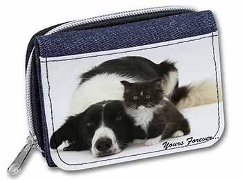 Border Collie and Kitten 