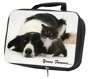 Border Collie and Kitten 