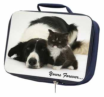 Border Collie and Kitten 