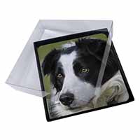 4x Border Collie Dog Picture Table Coasters Set in Gift Box
