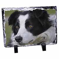 Border Collie Dog, Stunning Animal Photo Slate