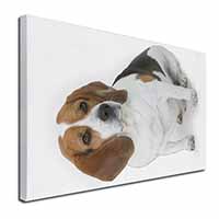 Beagle Dog Canvas X-Large 30"x20" Wall Art Print