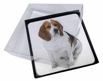 4x Beagle Dog Picture Table Coasters Set in Gift Box