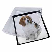4x Beagle Dog Picture Table Coasters Set in Gift Box