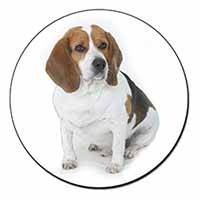 Beagle Dog Fridge Magnet Printed Full Colour