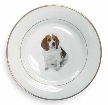 Beagle Dog Gold Rim Plate Printed Full Colour in Gift Box