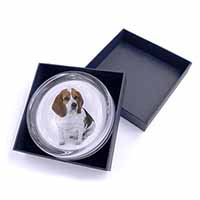 Beagle Dog Glass Paperweight in Gift Box