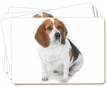 Beagle Dog Picture Placemats in Gift Box