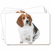 Beagle Dog Picture Placemats in Gift Box
