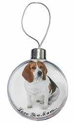 Beagle Dog 