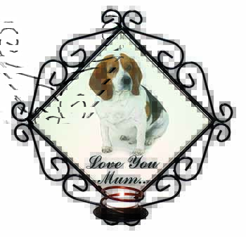 Beagle Dog 