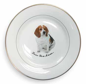 Beagle Dog 