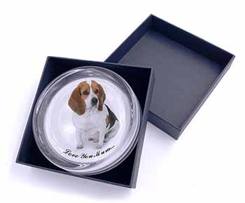 Beagle Dog 