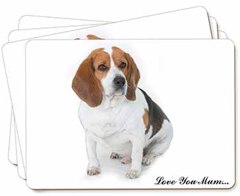 Beagle Dog 