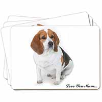 Beagle Dog 