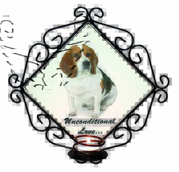 Beagle Dog 
